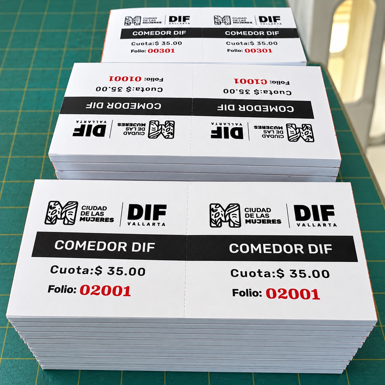 Formatos impresos en blocks